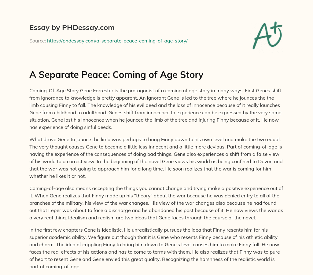 A Separate Peace: Coming of Age Story essay