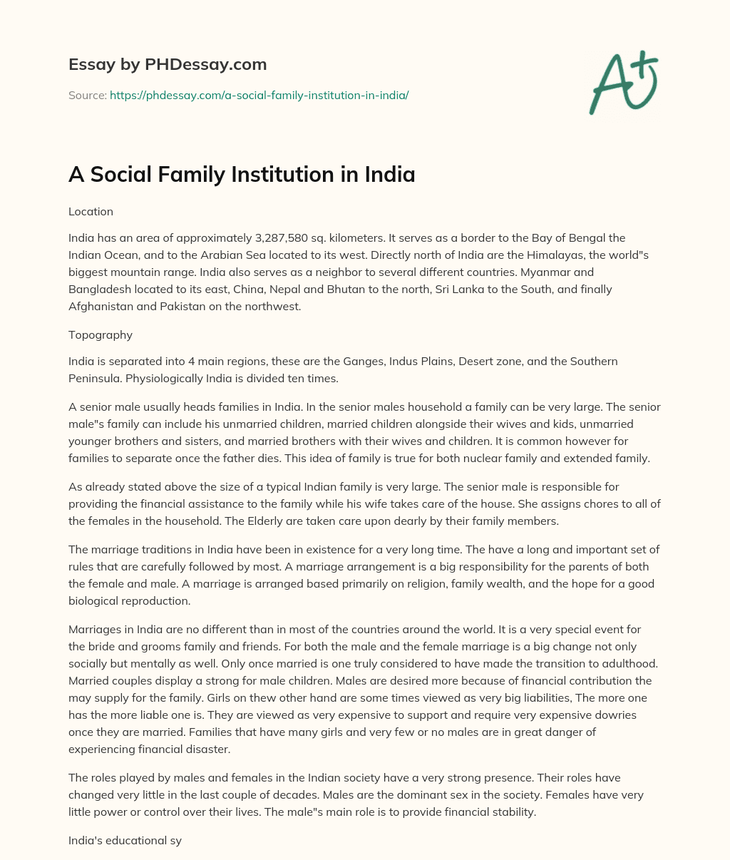 A Social Family Institution in India essay