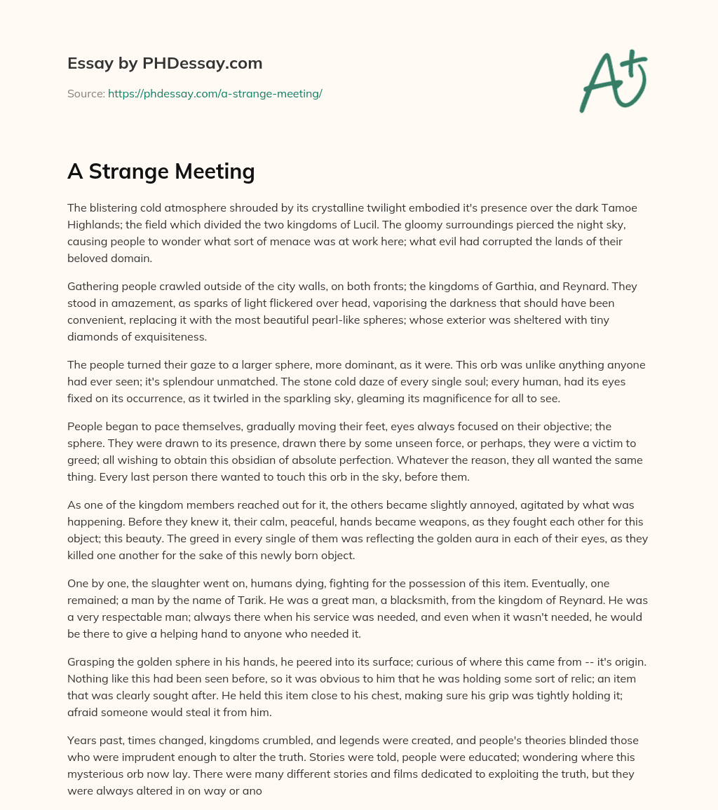 A Strange Meeting essay