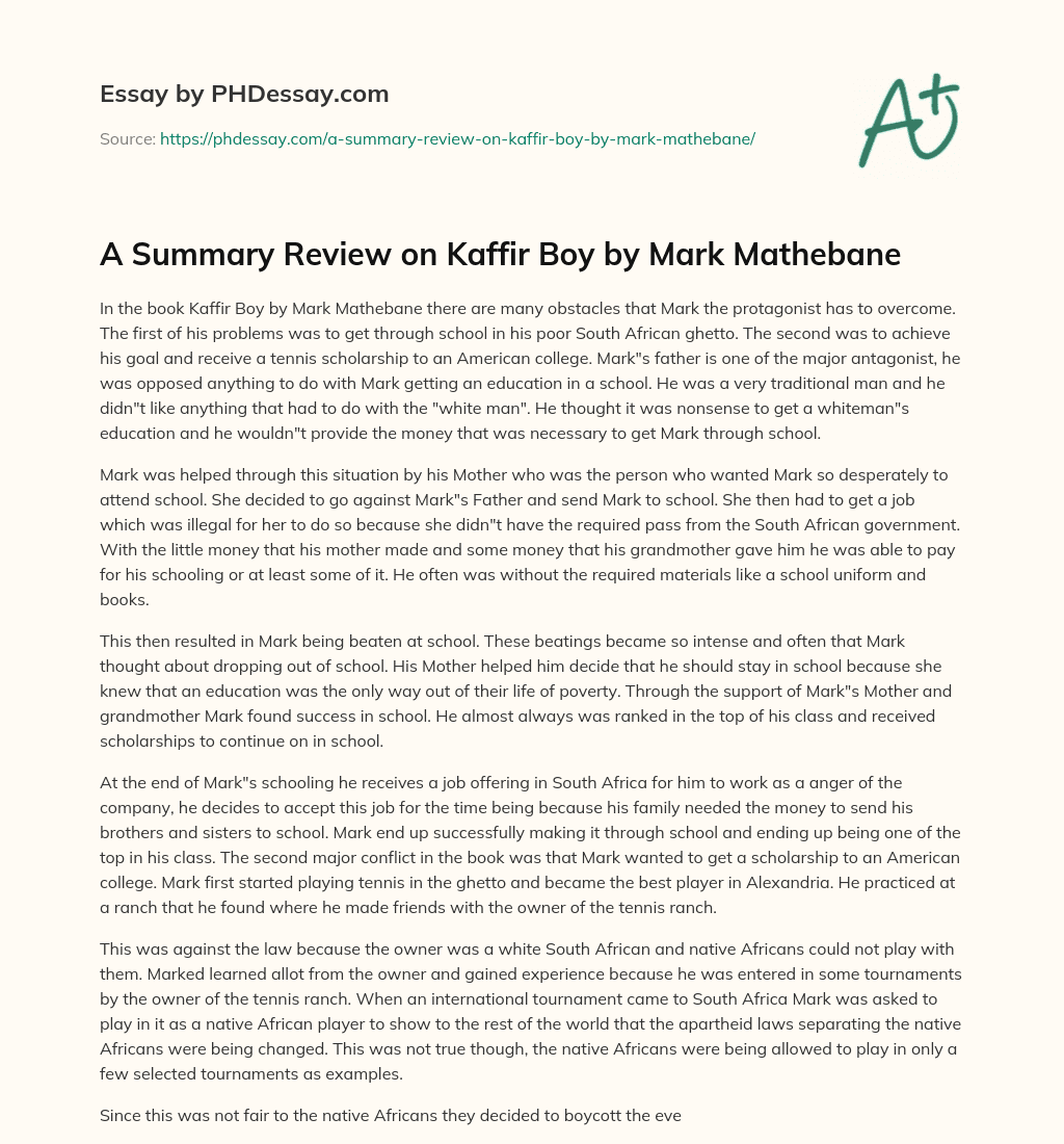 A Summary Review on Kaffir Boy by Mark Mathebane essay