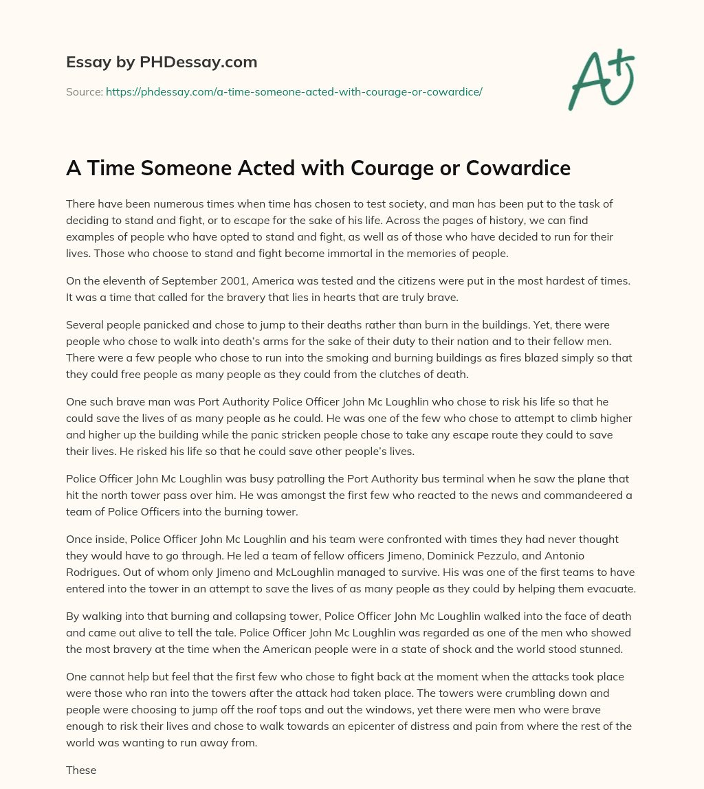 A Time Someone Acted with Courage or Cowardice essay