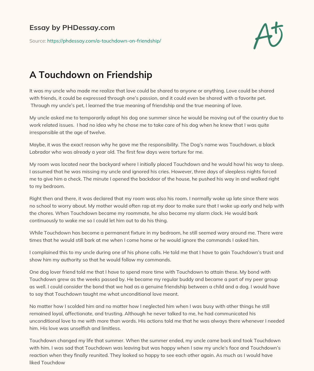 A Touchdown on Friendship essay
