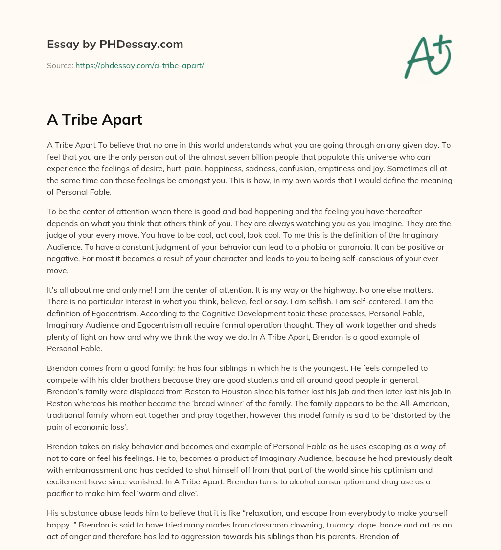 A Tribe Apart essay