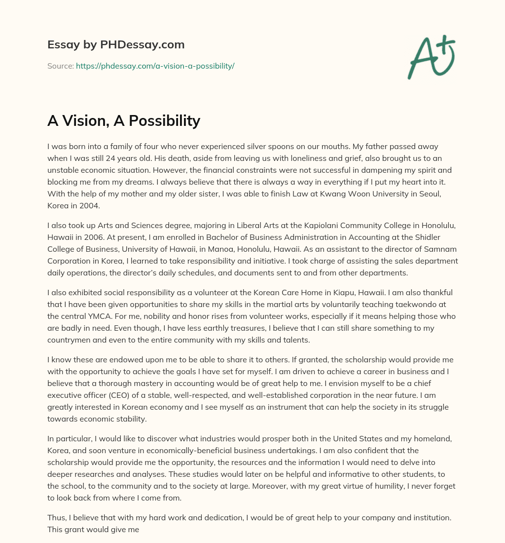 A Vision, A Possibility essay