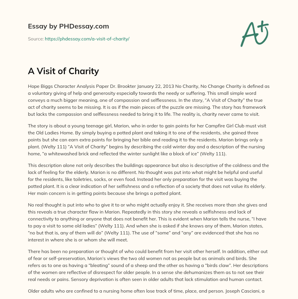 summary of a visit of charity