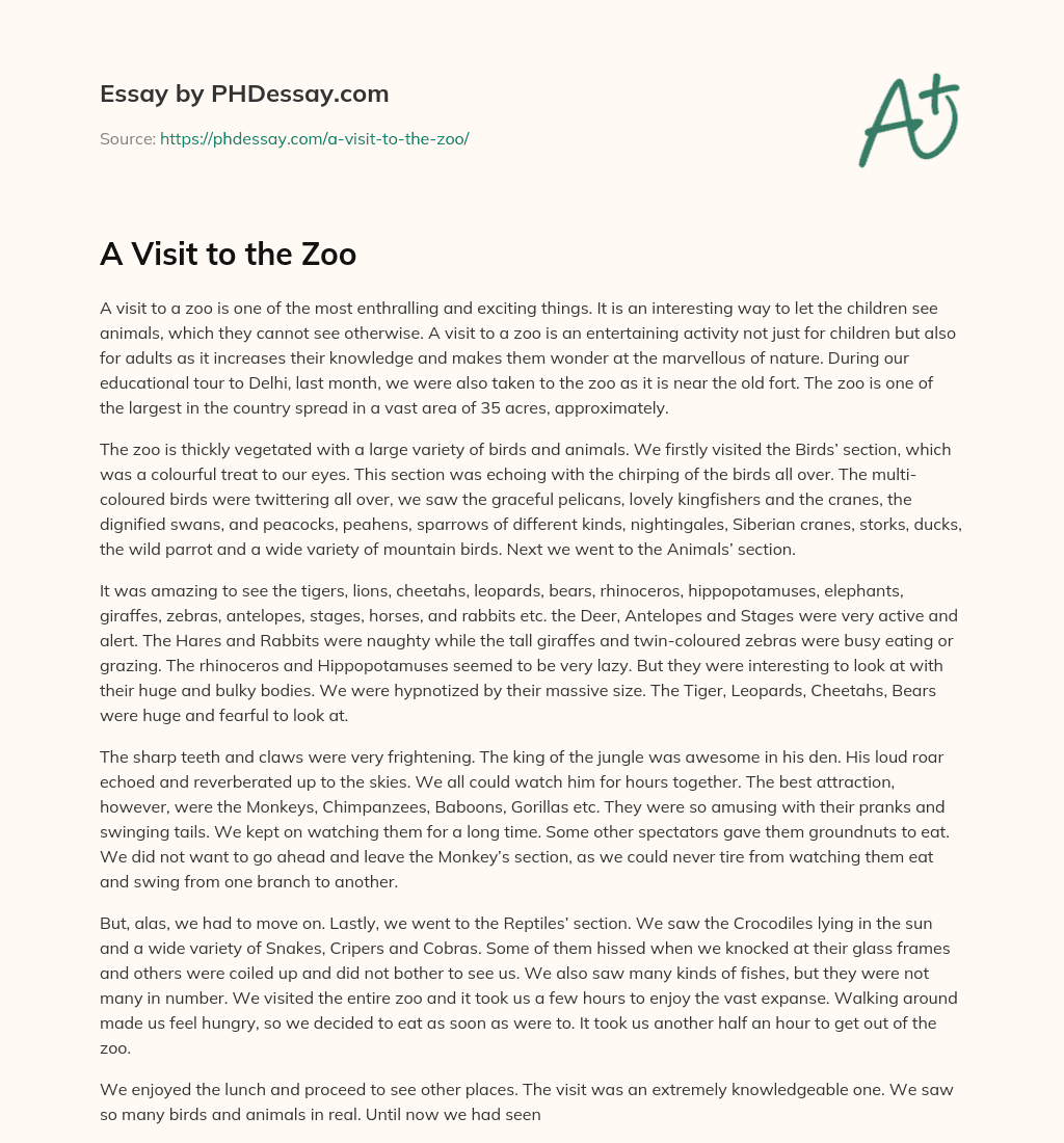 A Visit to the Zoo essay
