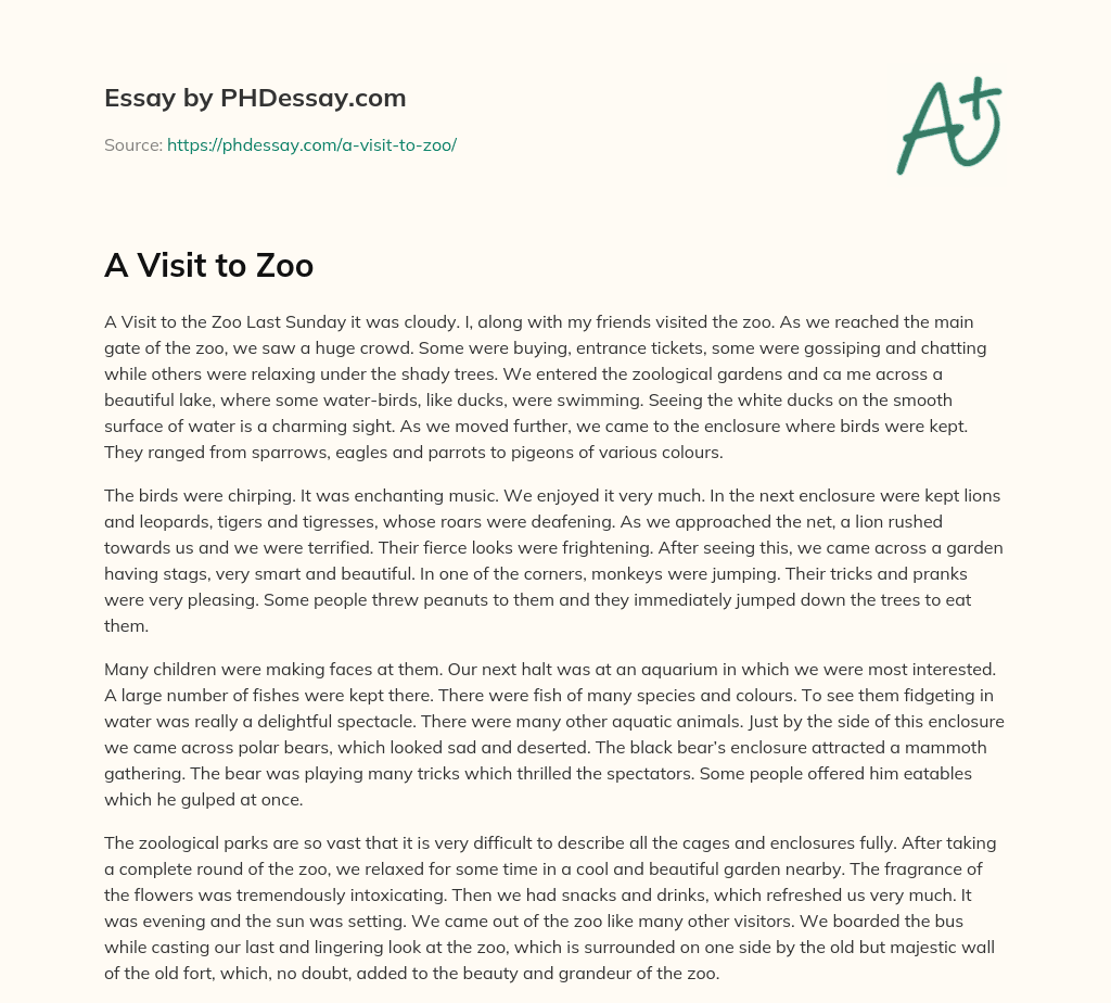 narrative essay on zoo