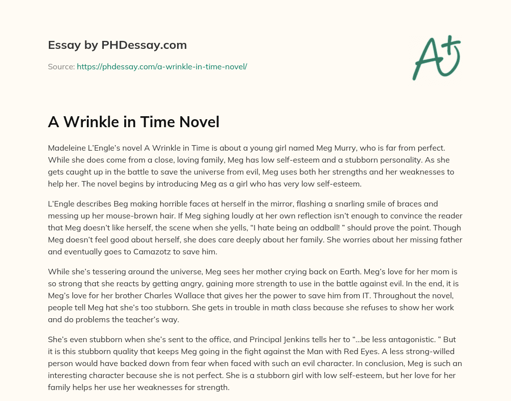 A Wrinkle in Time Novel essay