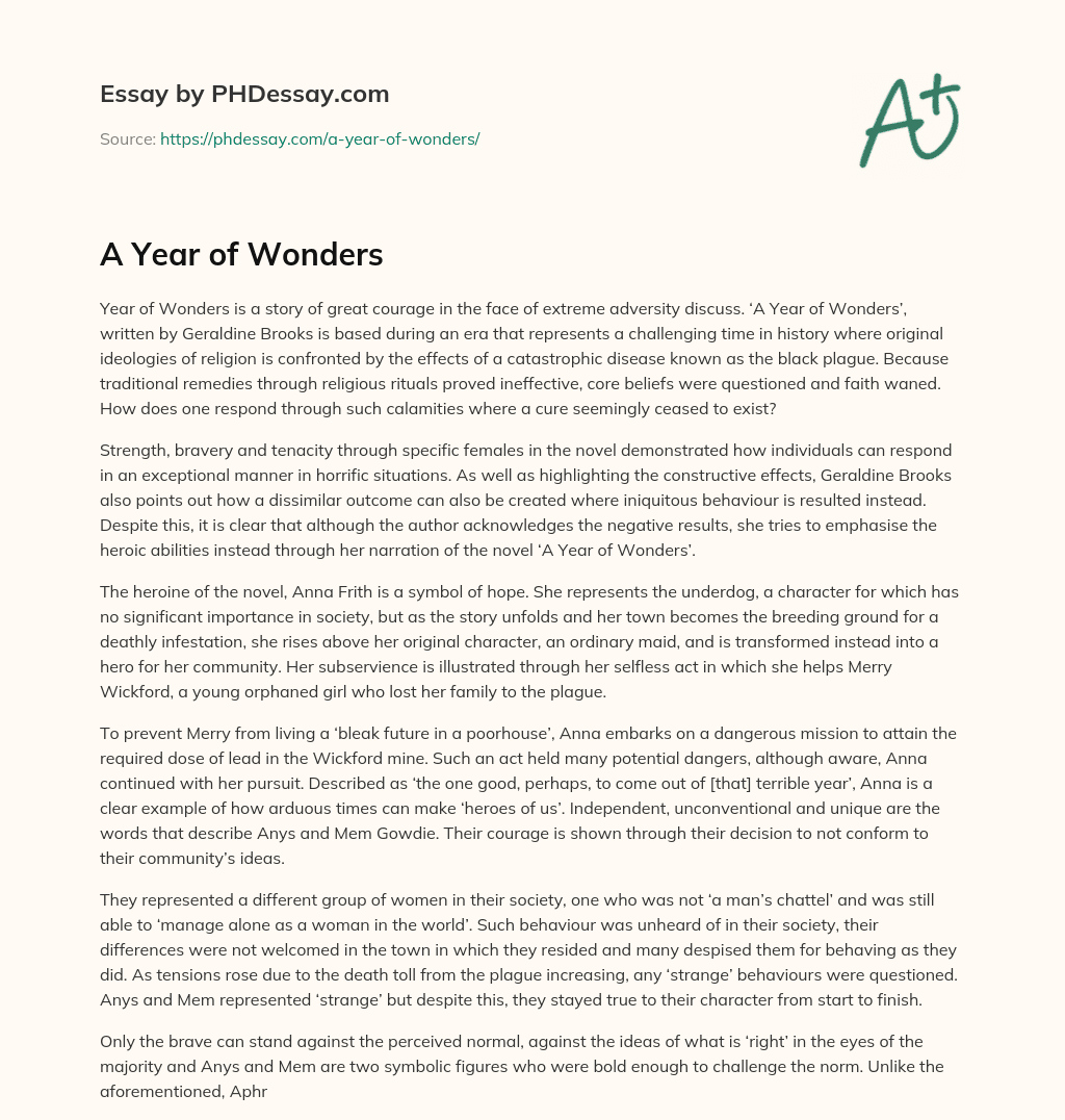 A Year of Wonders essay