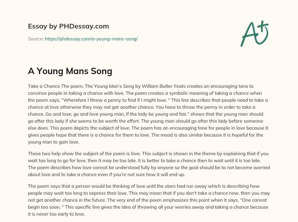 A Young Mans Song essay