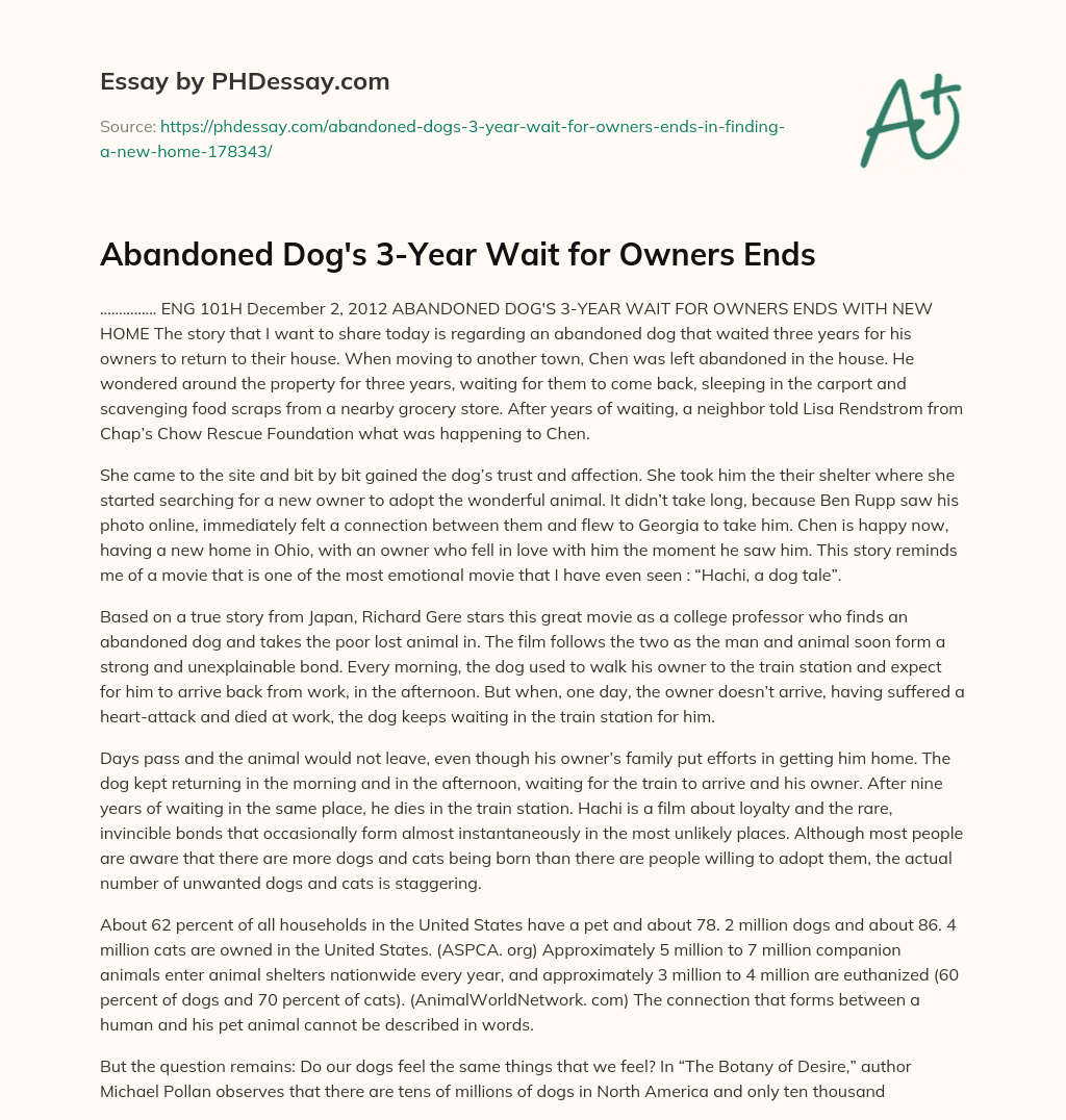 Abandoned Dog’s 3-Year Wait for Owners Ends essay