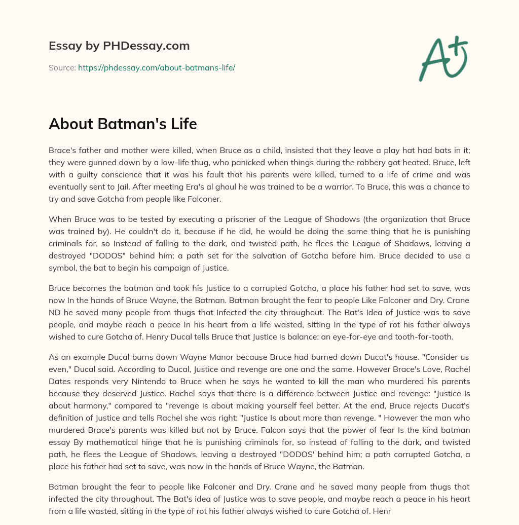 About Batman’s Life essay