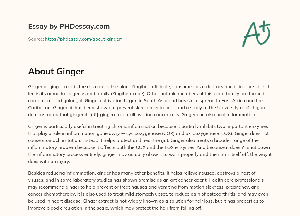 Ginger: A Versatile Plant with Health Benefits essay