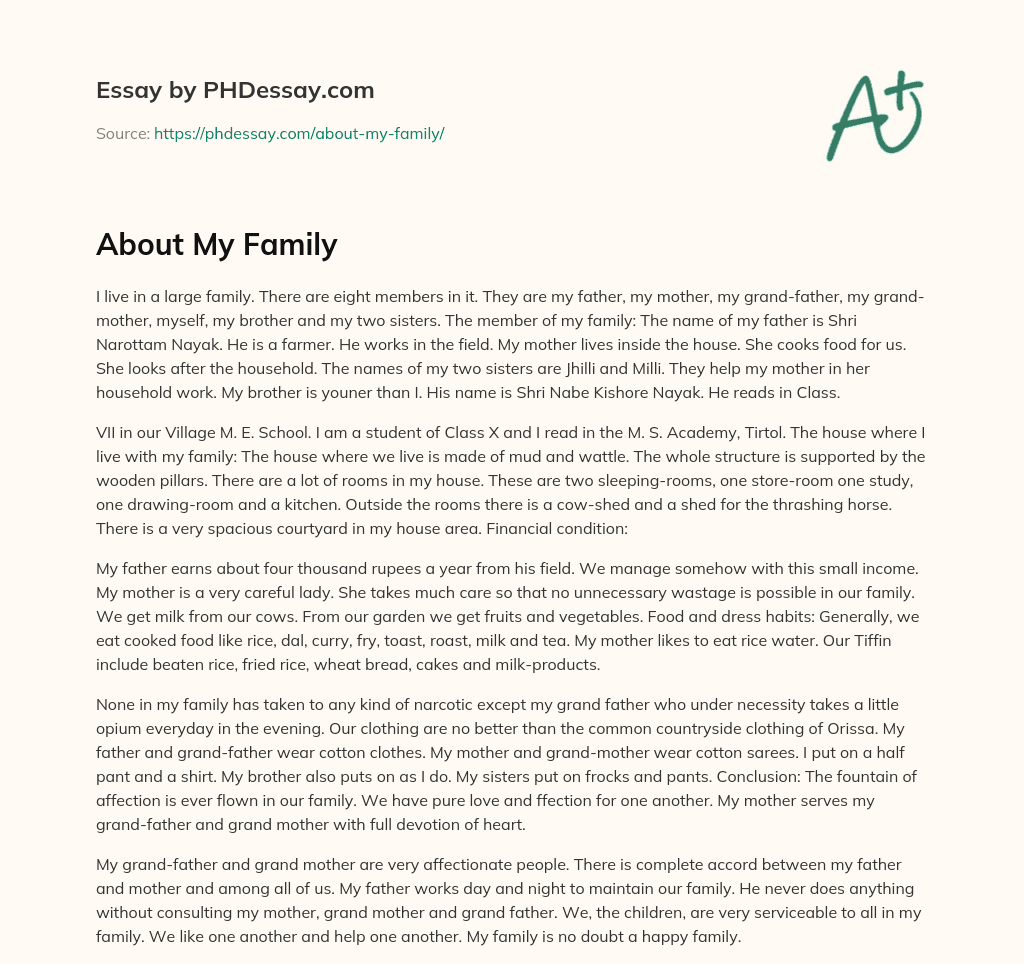 About My Family essay