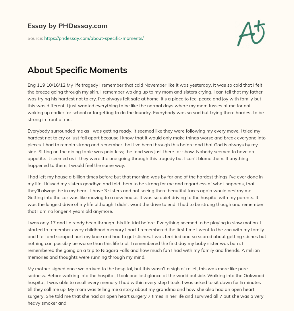 About Specific Moments essay