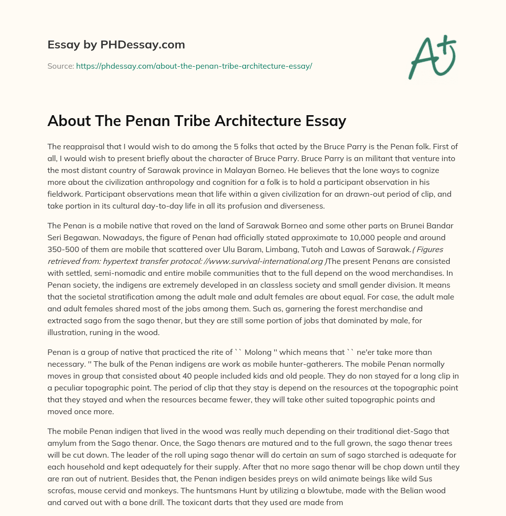 About The Penan Tribe Architecture Essay essay