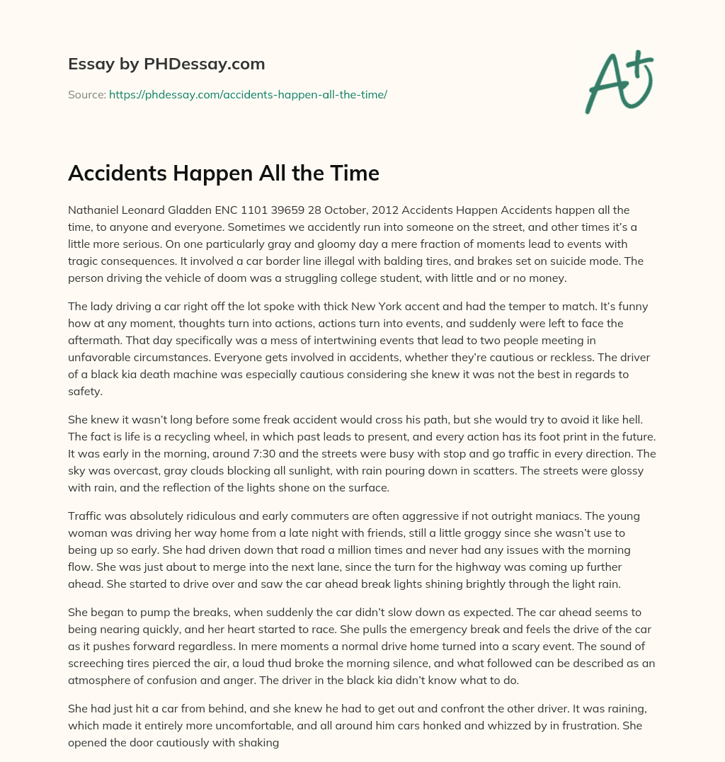 Accidents Happen All the Time essay