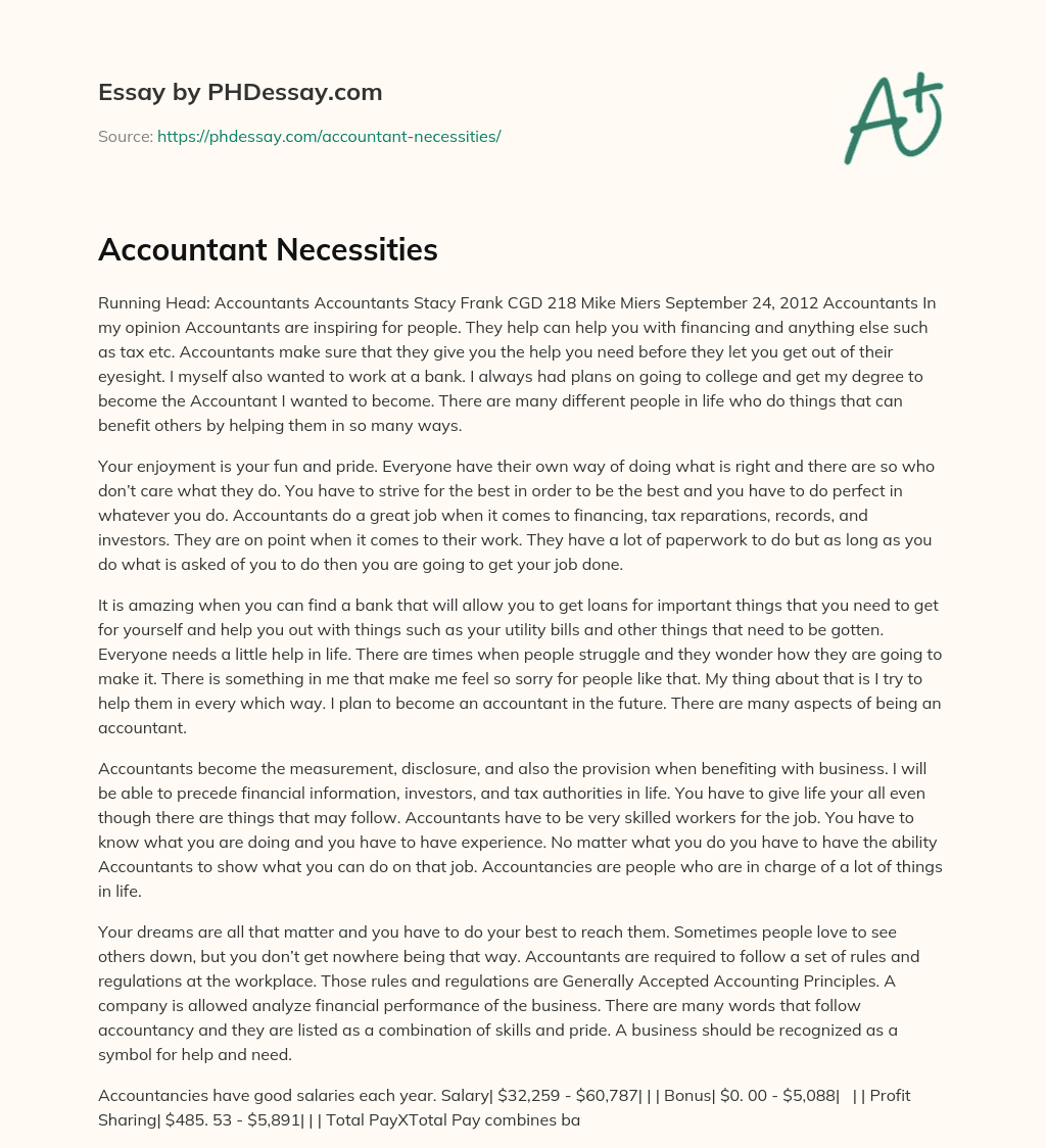 Accountant Necessities essay