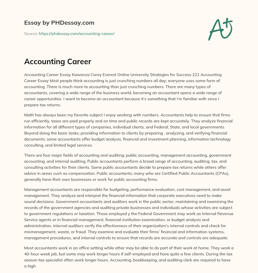 Accounting Career essay