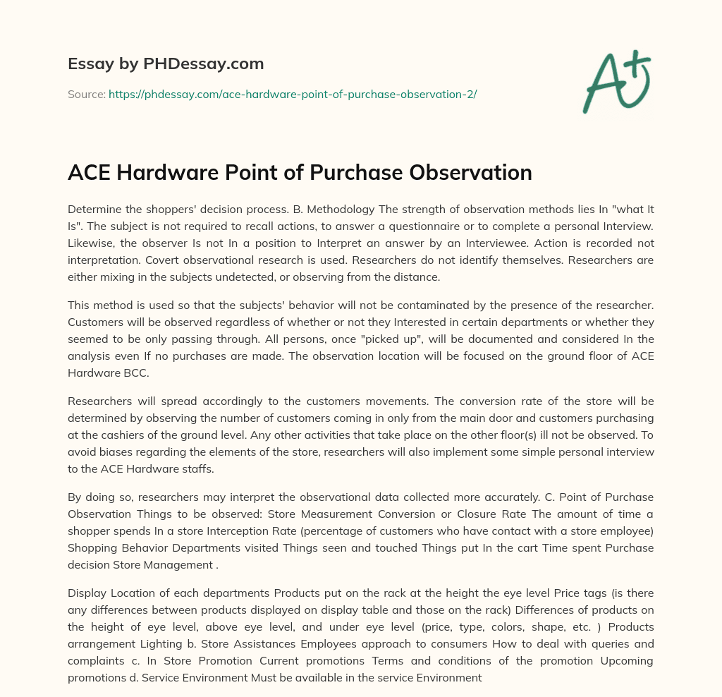ACE Hardware Point of Purchase Observation essay