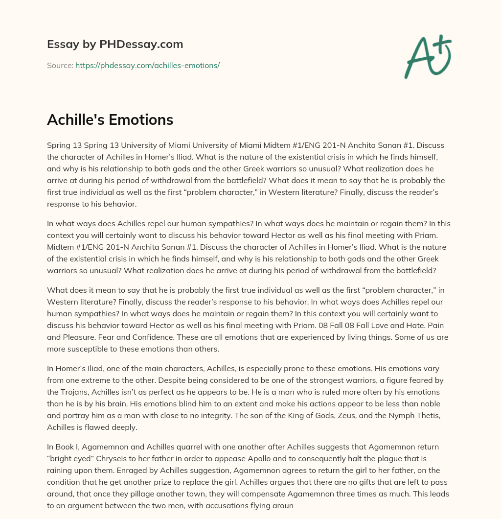 Achille’s Emotions essay