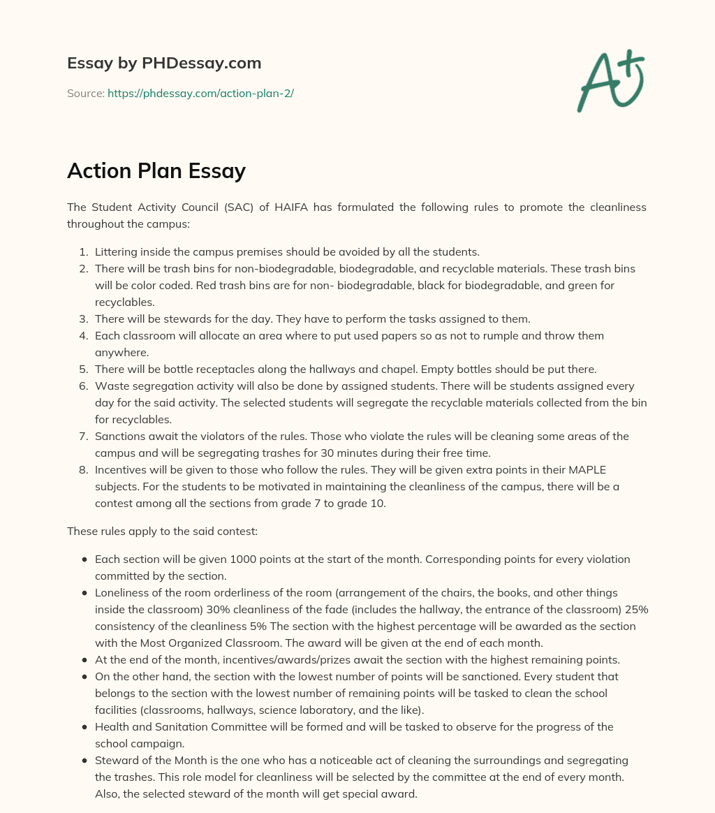 Action Plan Essay essay
