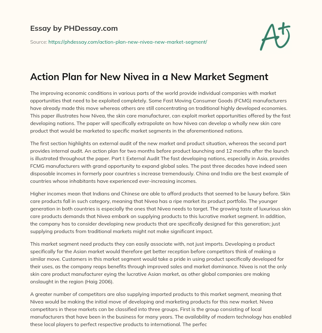 Action Plan for New Nivea in a New Market Segment essay