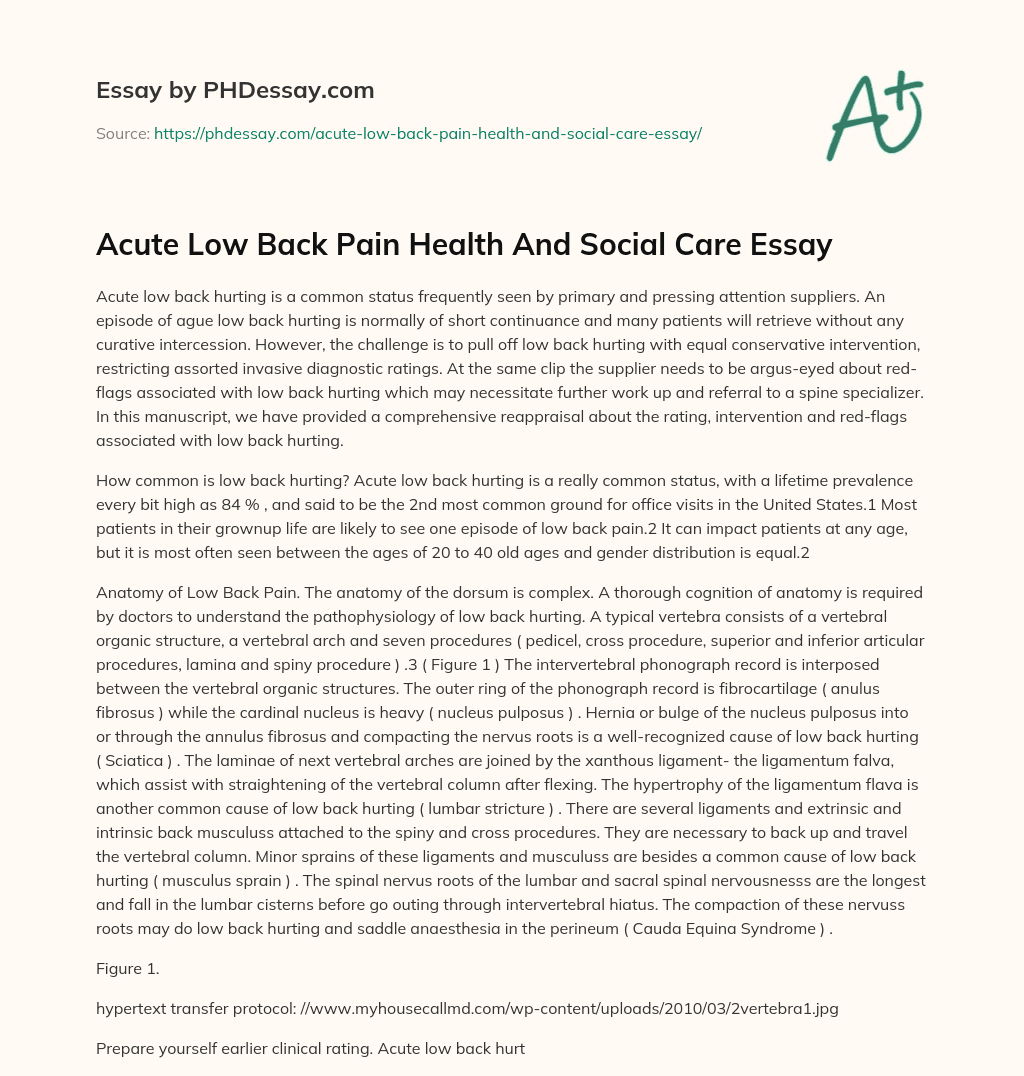Acute Low Back Pain Health And Social Care Essay essay
