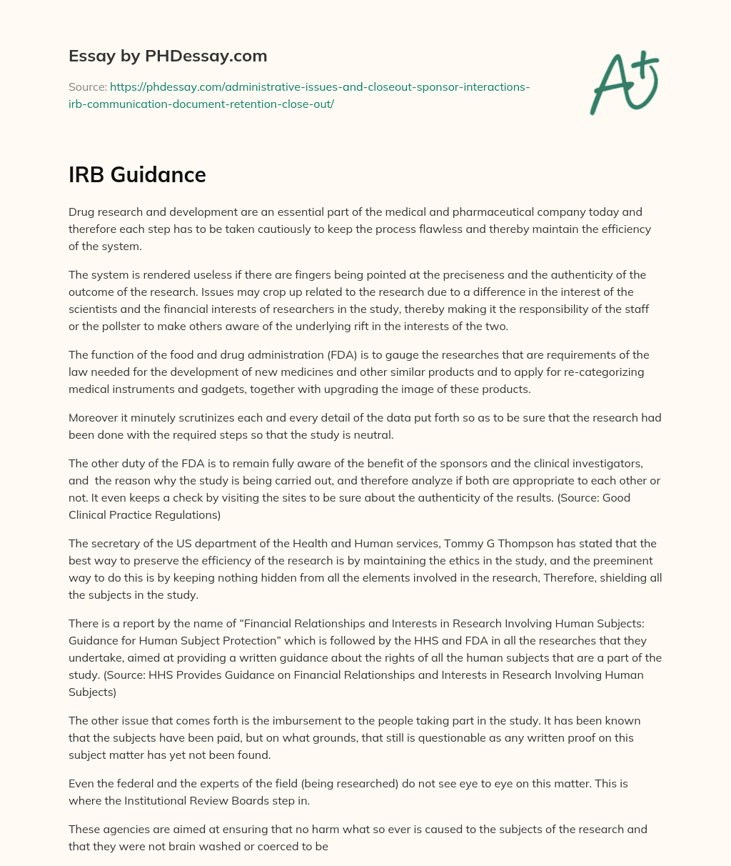 IRB Guidance essay