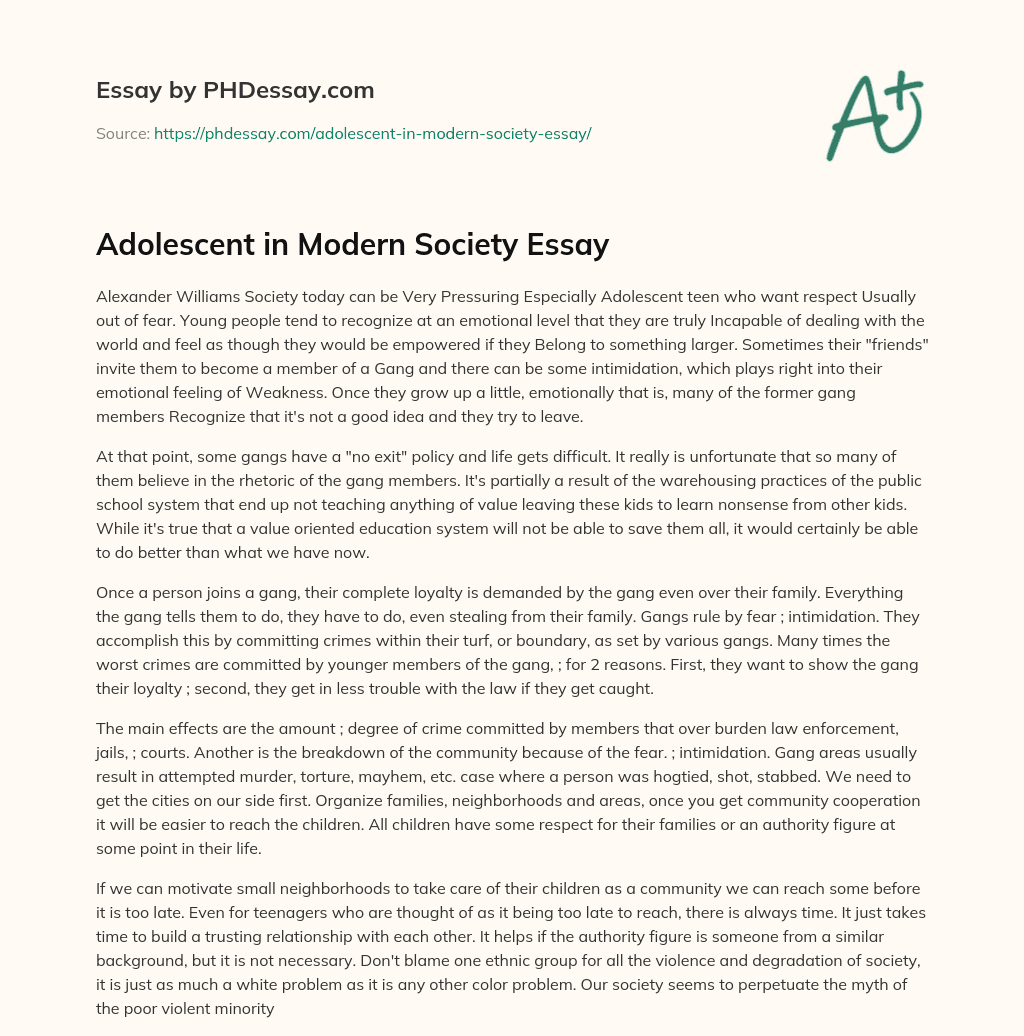 Adolescent in Modern Society Essay essay