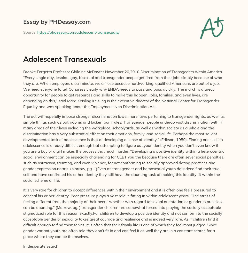 Adolescent Transexuals essay