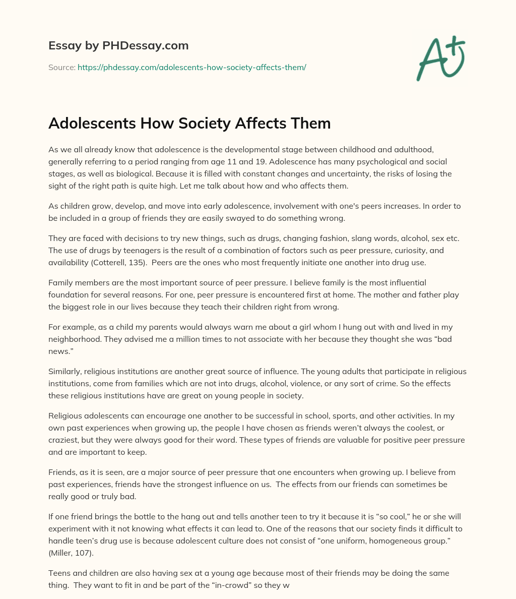 Adolescents How Society Affects Them essay