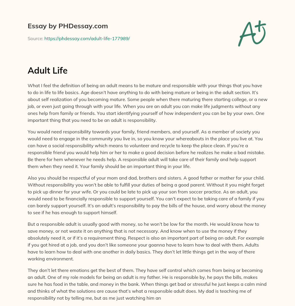 The Definition of Being an Adult: Maturity and Responsibility essay