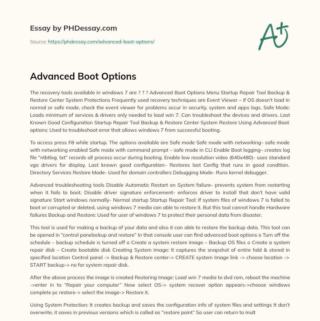 Advanced Boot Options essay