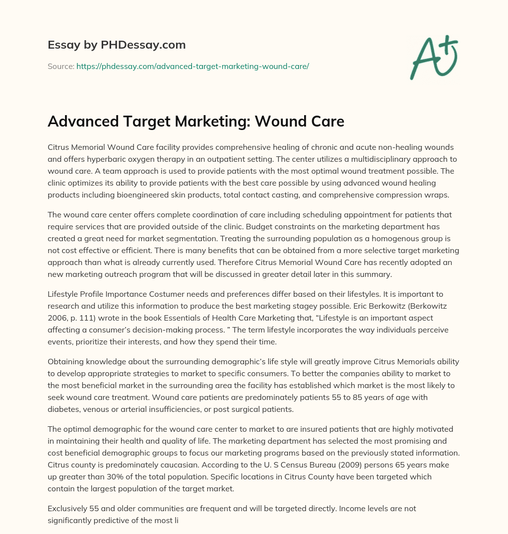 Advanced Target Marketing: Wound Care essay