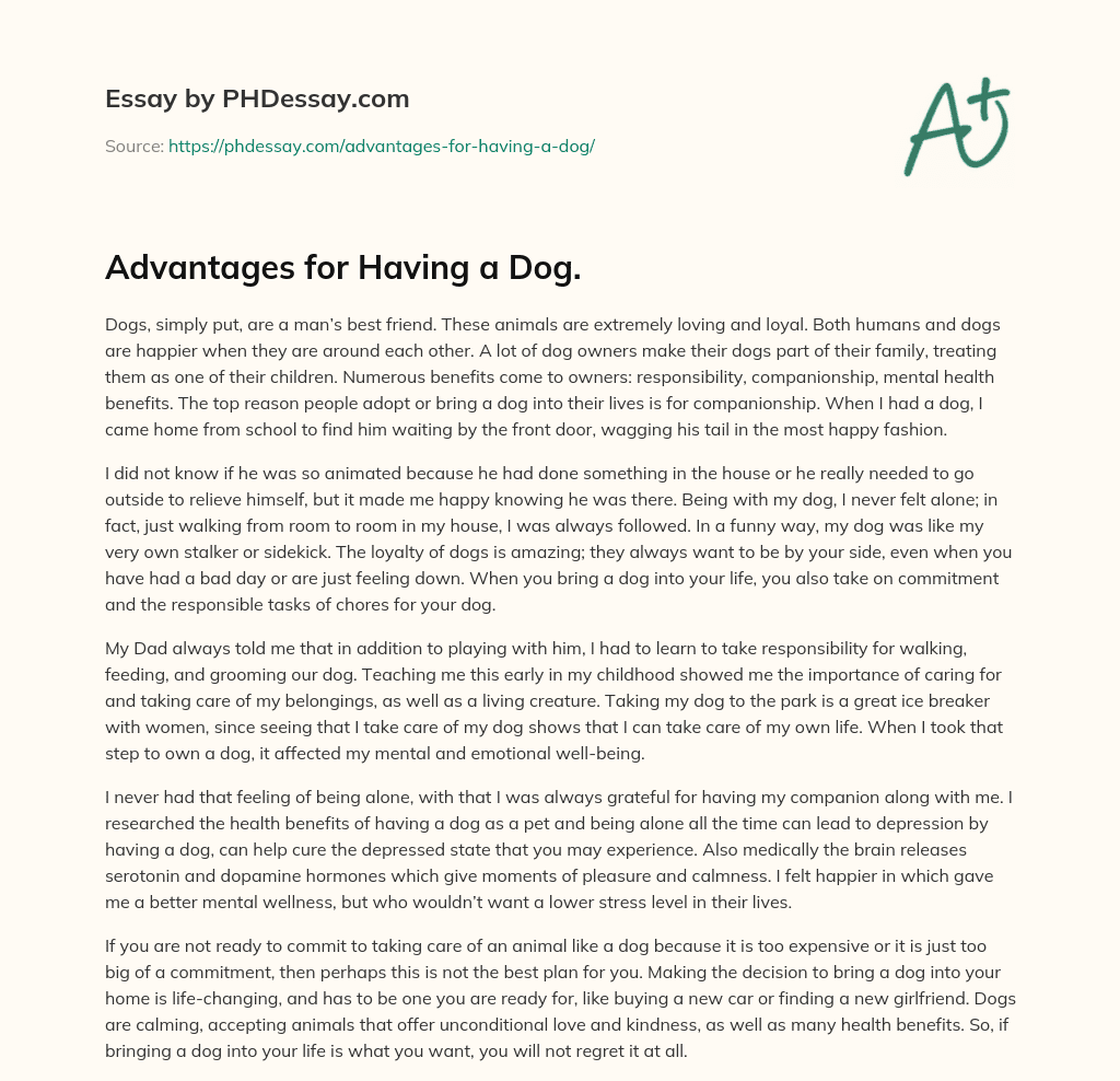 Advantages for Having a Dog. essay