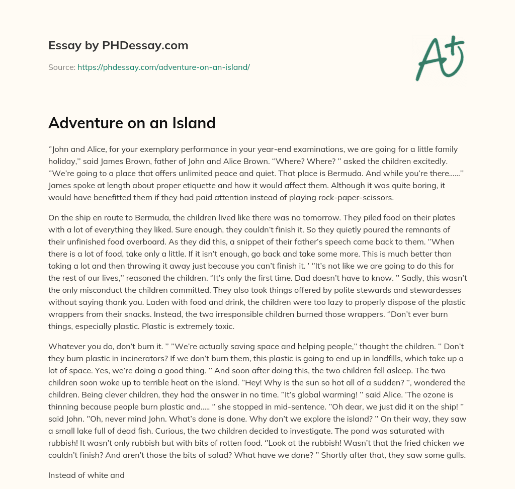 Adventure on an Island essay