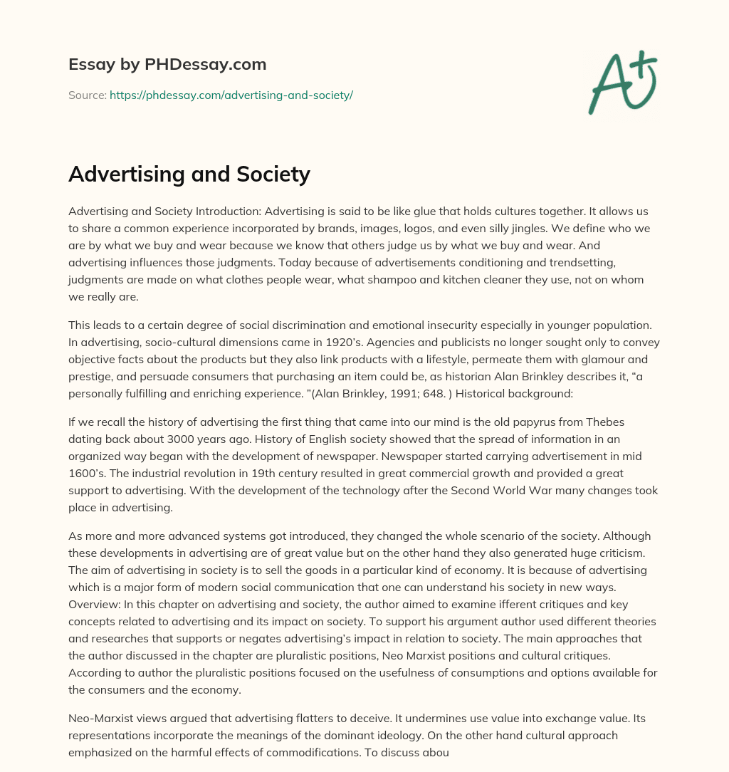 Advertising and Society essay