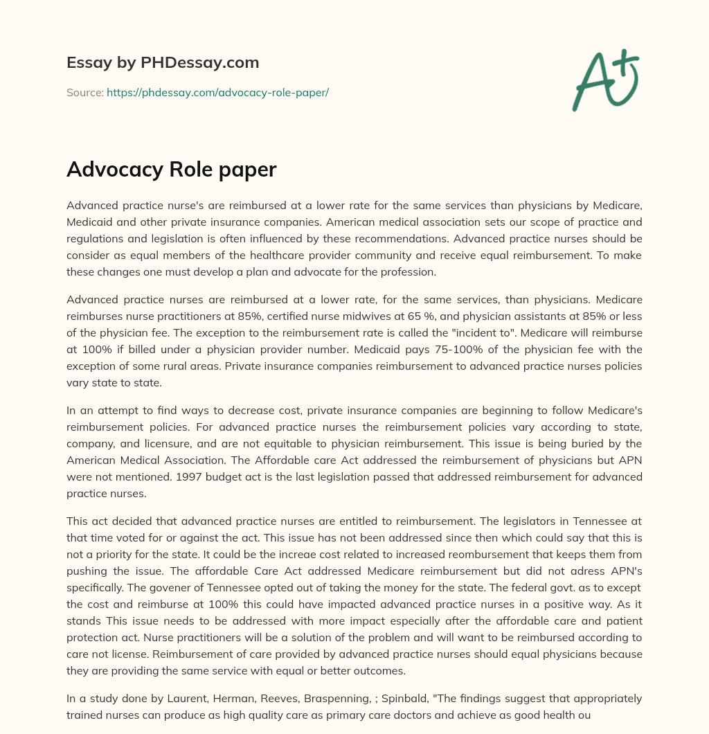 Advocacy Role paper essay