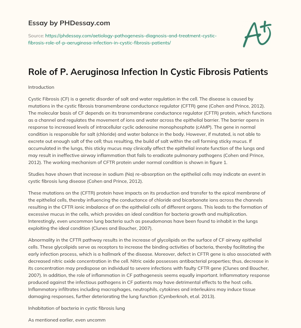 Role of P. Aeruginosa Infection In Cystic Fibrosis Patients essay