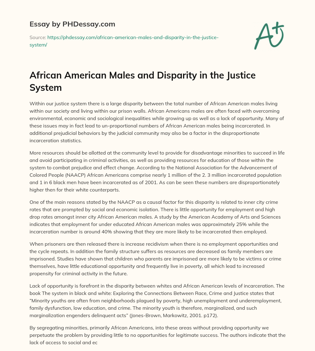 African American Males and Disparity in the Justice System essay