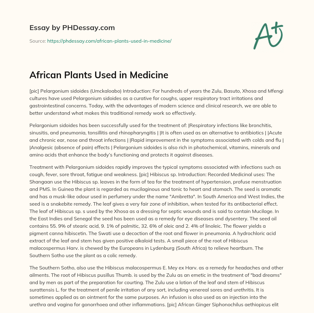 African Plants Used in Medicine essay