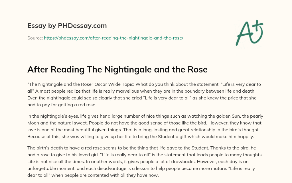 nightingale and the rose essay