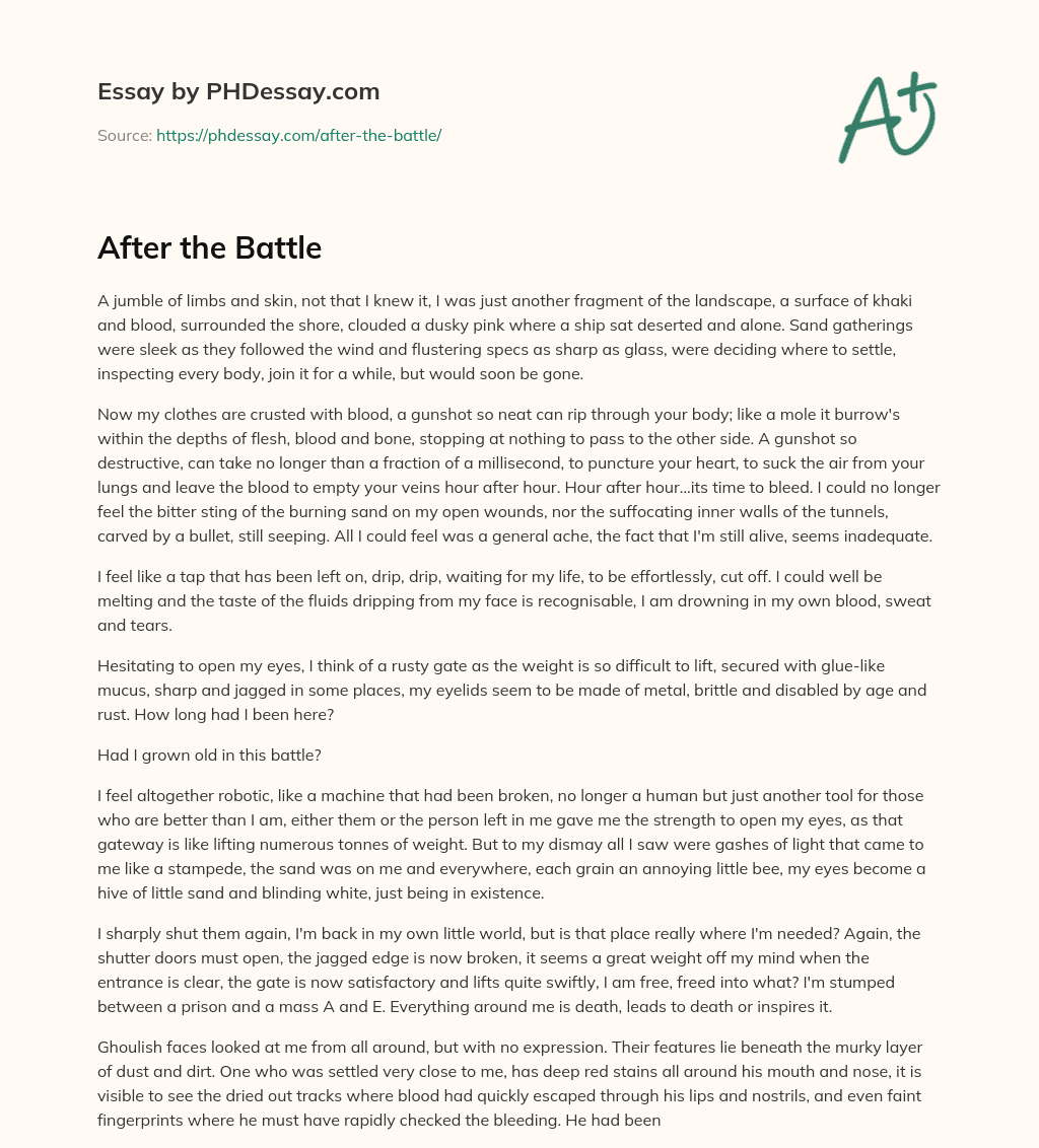 After the Battle essay
