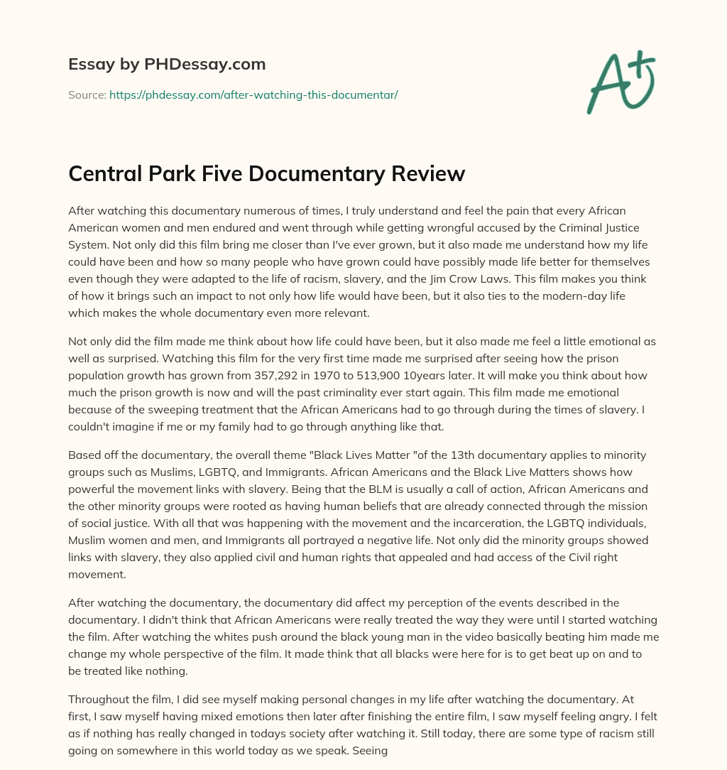 Central Park Five Documentary Review essay
