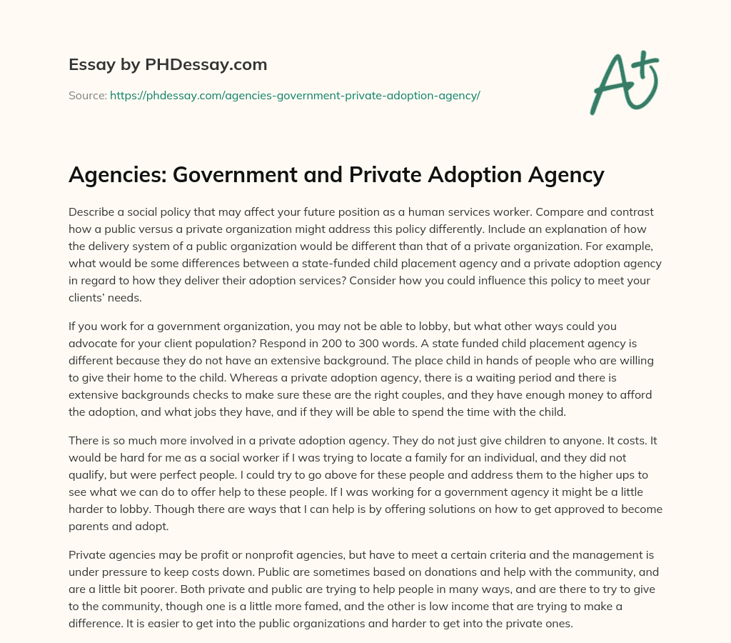 Agencies: Government and Private Adoption Agency essay