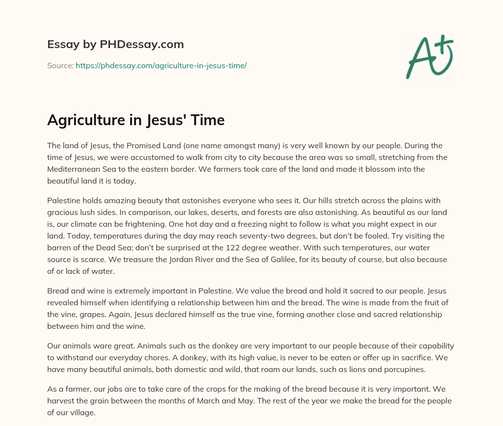 Agriculture in Jesus’ Time essay