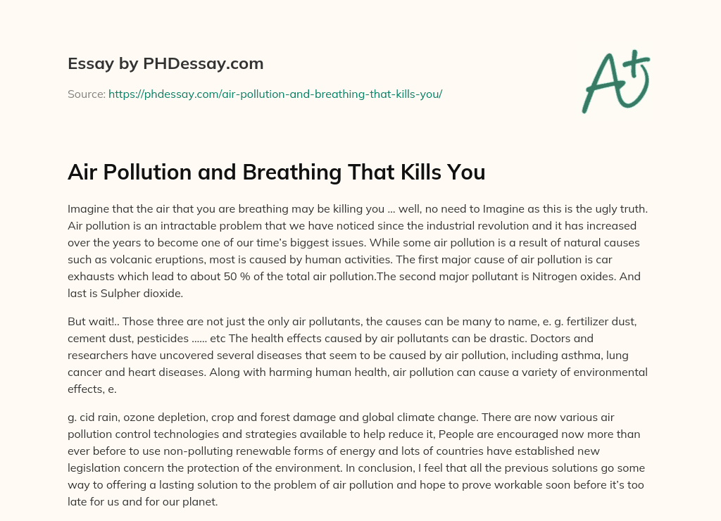 Air Pollution and Breathing That Kills You essay