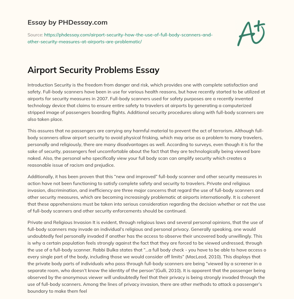 Airport Security Problems Essay essay