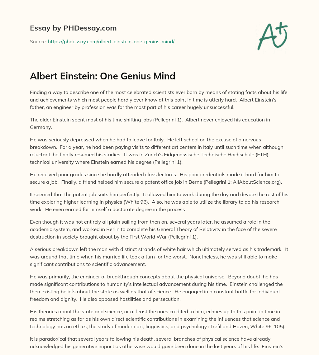 Albert Einstein: One Genius Mind essay